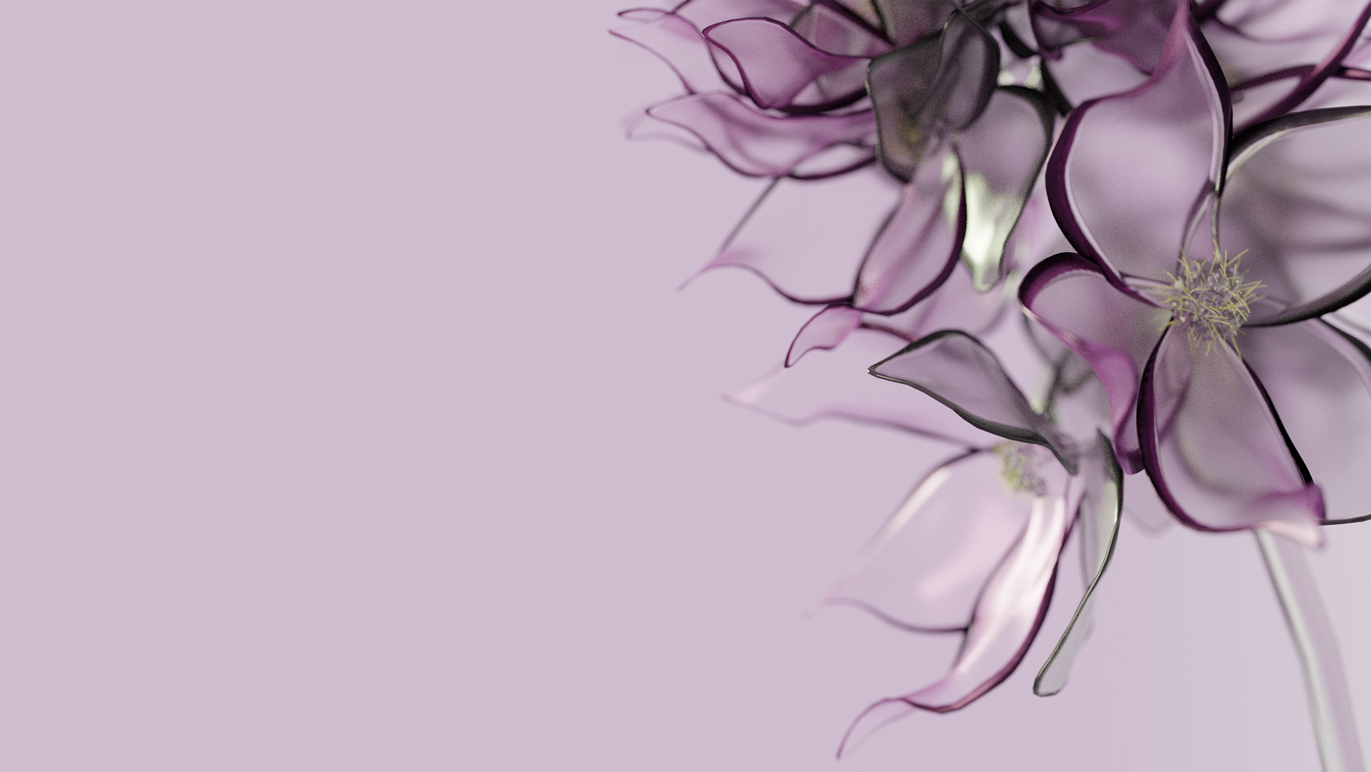 Float zoom image
